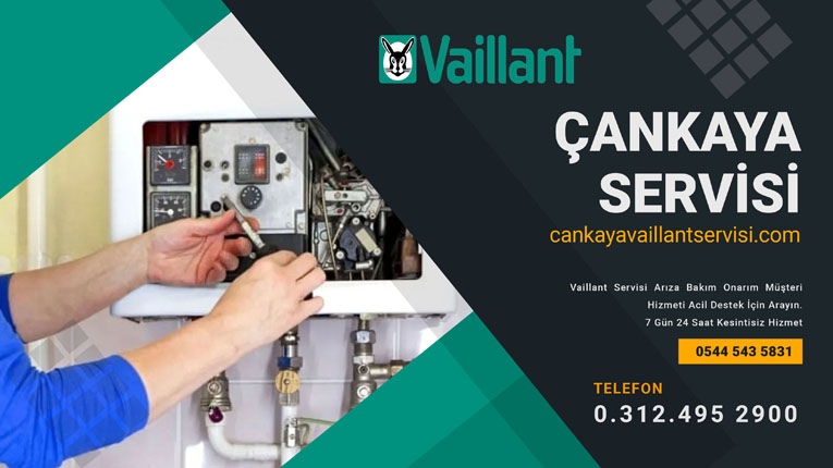 Ankara Vaillant Kazan Servisi 